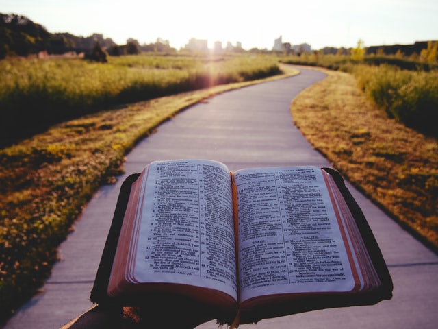Any pun about the Bible can really make you smile.