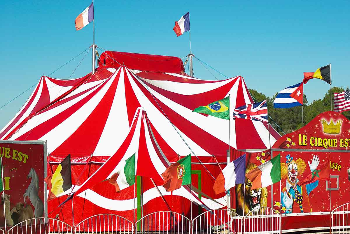 Many circus names are fun and magical.
