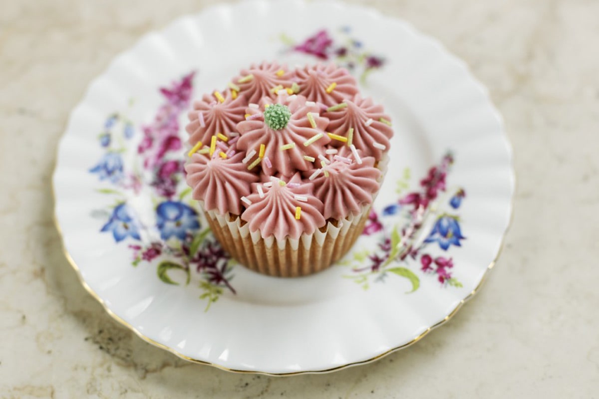 Beginners Cupcake Decorating With Cookie Girl.