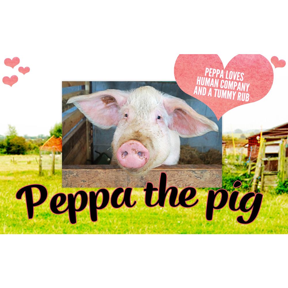 Adopt A Rescued Animal - Viva.