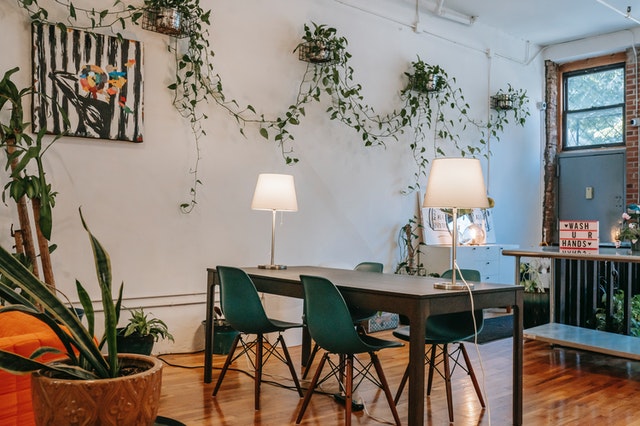 Trailing plants grown indoors add life and color, making your home a soothing and breathable environment.