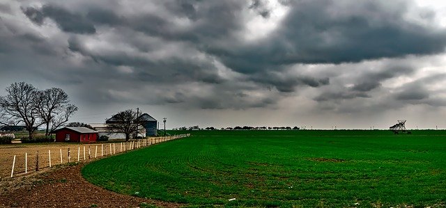 Texas has many different ranches.