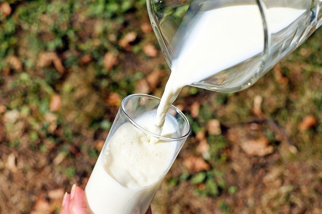Milk jokes are deliciously funny and fresh just like a cow joke.