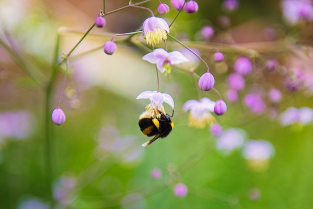 Funny bee sayings can create such a buzz