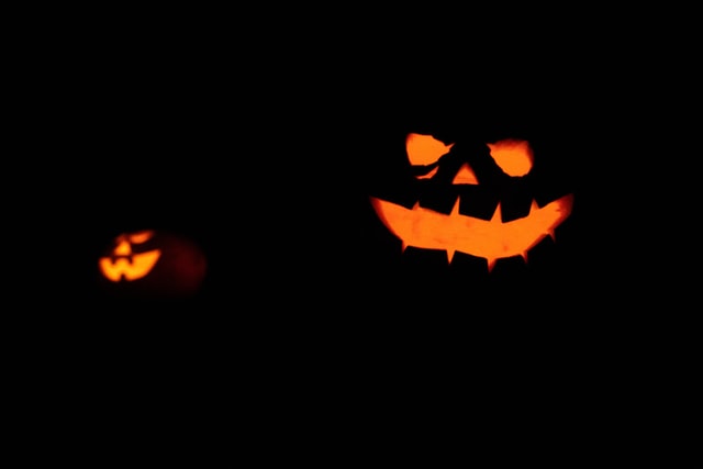 Just like candies and kids, Halloween jokes are addictive as well.