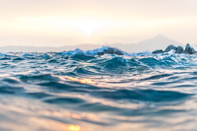 This list includes the best ocean pun you will ever sea.