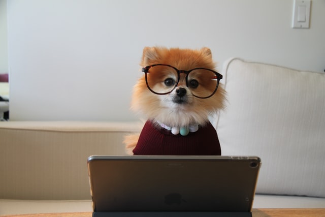 Funny puns about programmers will get all the tech-savvy people to laugh out loud.