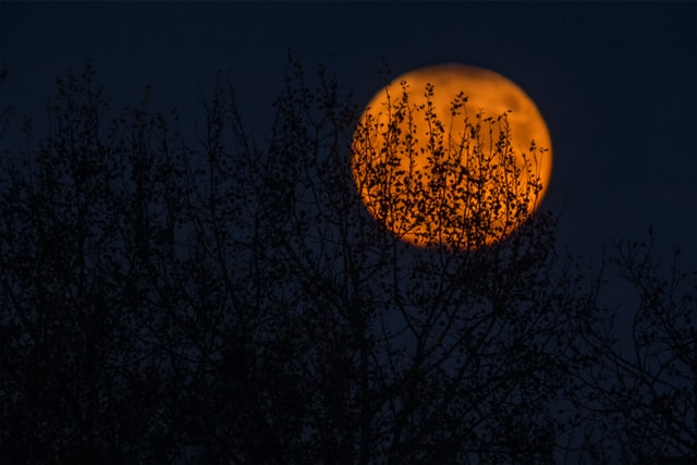 Email a friend with a full moon night riddle.