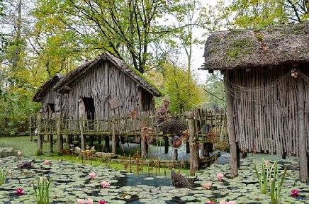 The water of a swamp might be new water, saline water, or seawater.