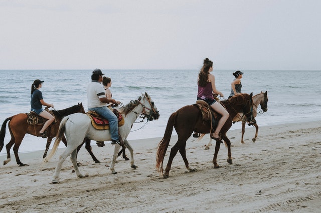 Everyone can enjoy a horse ride!