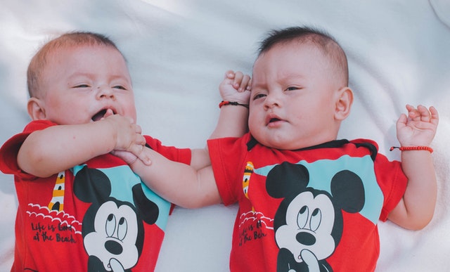 Twins are hard to take care of, but fun to play with!