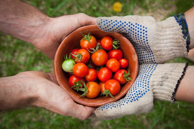 Farming has been the one thing that has supported human beings since agriculture began.