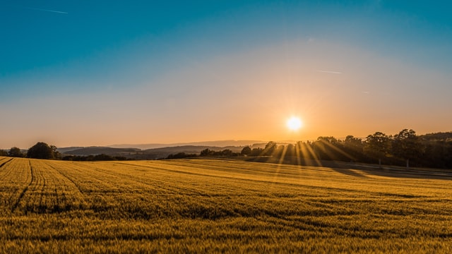 Farming can be both peaceful and taxing.