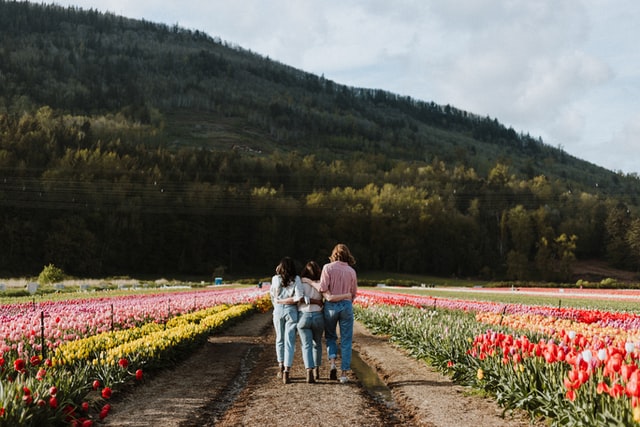Friendship inspired tulip quotes will let you and your friends relive some of your best moments