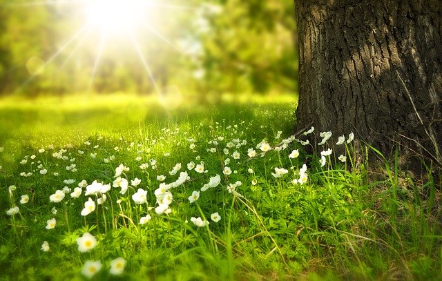 Henry David Thoreau on nature and our relationship with it are rather profound.