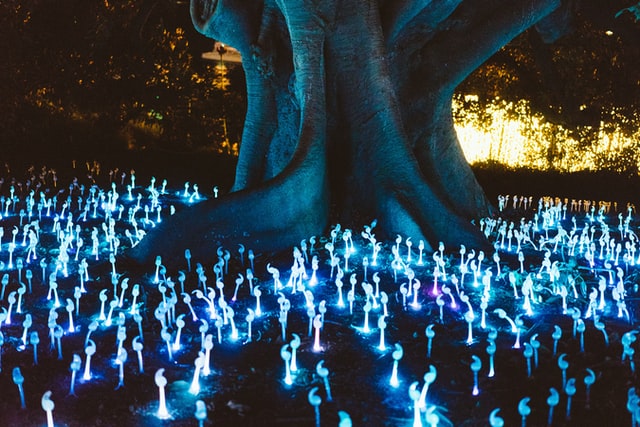One should believe in something to enlighten the path like the fairies do with their magic.
