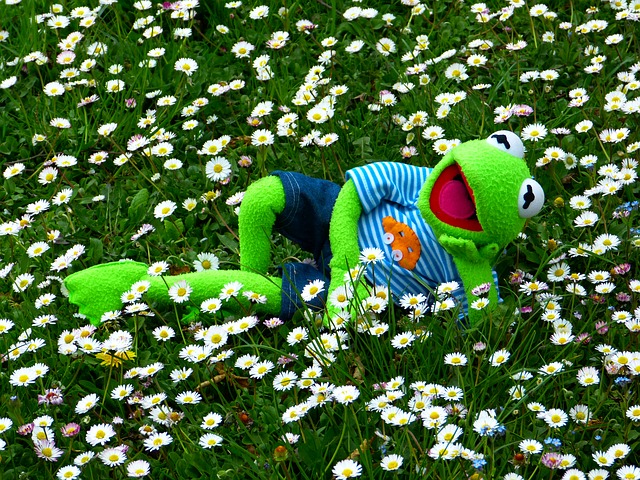 Kermit The Frog funny quotes that you need to know to go through days.