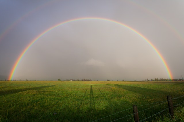 Find loads of fun facts about weather in this weather quiz for kids.