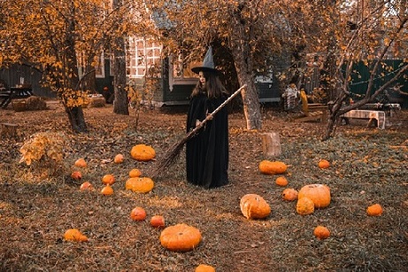 Wicked Witch quotes are timeless and appealing.