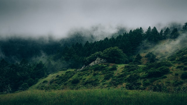 Beauty in the white clouds or the grey of a rain-filled day can be inspirational in many ways.