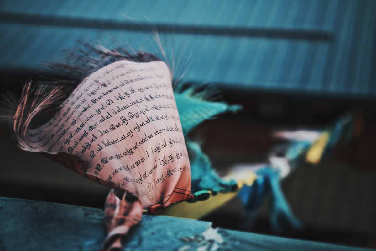 A writer has the belief in the book that they write, that's the nature of wind too. Belief.