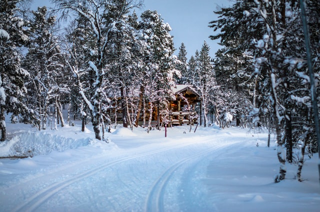 Mountain greenery is a great location for a cabin.