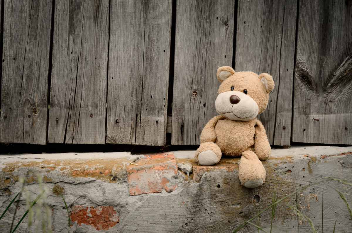 Teddy bear quotes are as adorable as the toy.