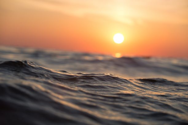 You need good quotes about the tropics just as you need SPFs and eyewear.