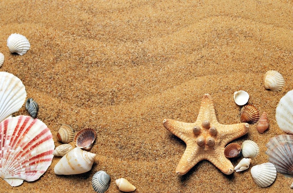 Tropical quotes, living in paradise quotes and summer ocean quotes make us think of vacations in a tropical paradise.