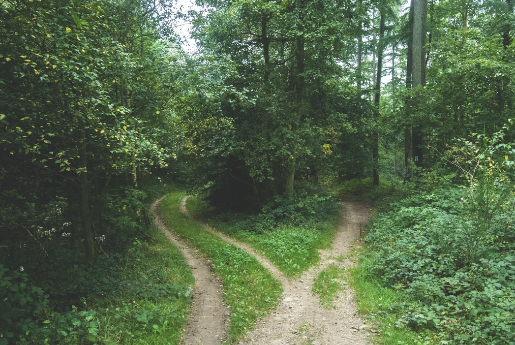 "Two roads diverged" is a famous line by Robert Frost.