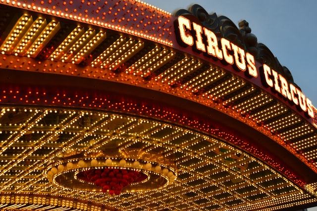 Circus quotes are very entertaining.