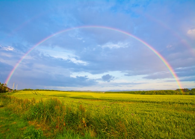 A quote about individuality is equal to a rainbow.