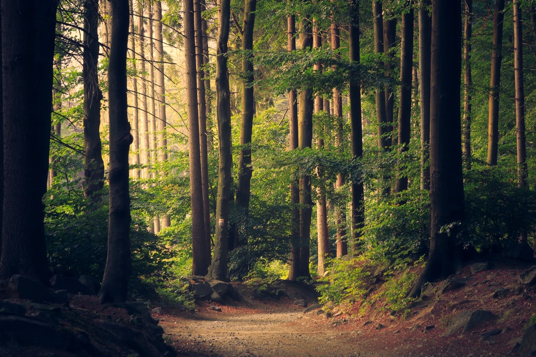 Nature is filled with things that are worth appreciating.
