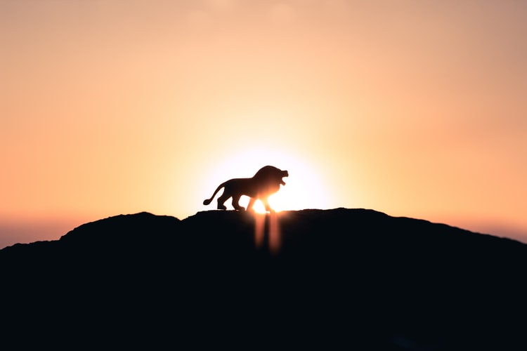 The Lion is regarded as a symbol of strength and vitality.