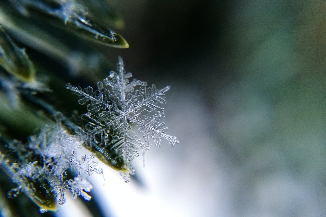 Quotes about snowflakes are educational.