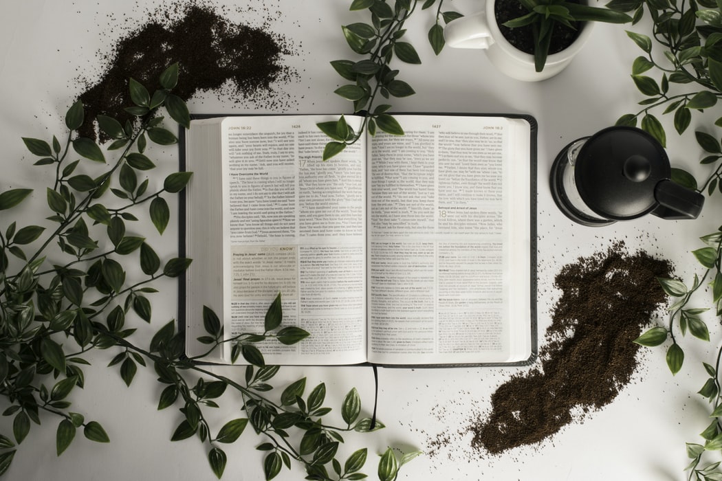 John Milton has given the world a vast number of biblical quotes.