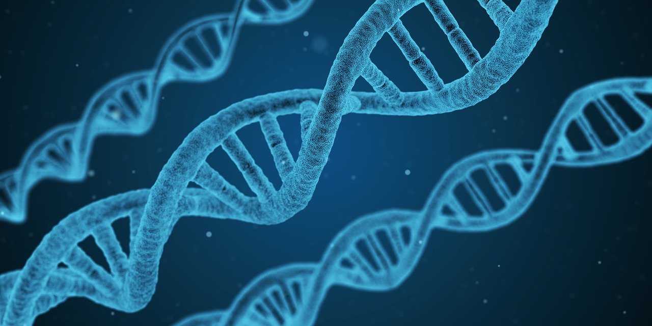 Rosalind Franklin's interesting quotes on DNA.