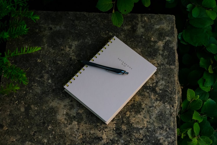 Christopher McCandless maintained a journal recording his life and experiences of every day in the wilderness.