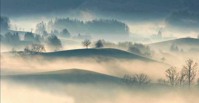 Fog quotes offer motivation to readers.