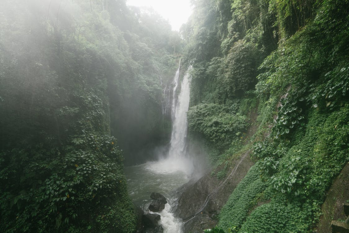 Quotes about Mother Earth and nature will make you sigh with wonder at nature's beauty.