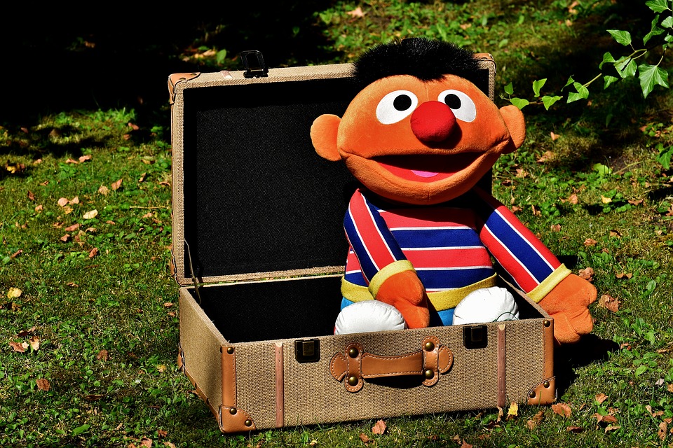 Quotes from the television show 'Sesame Street' about life.