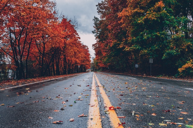 Green is the favorite color in fall.