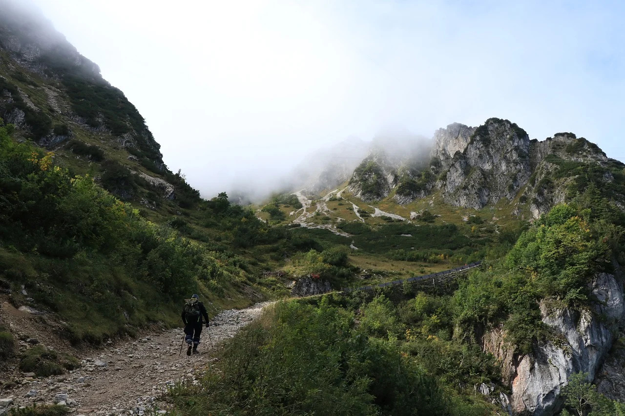Best hiking quotes on nature to heal self when stressed.