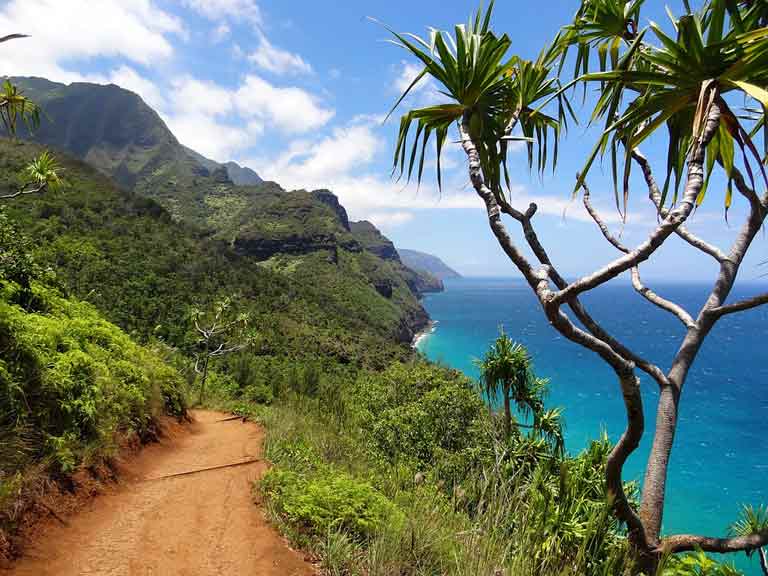Hawaiian quotes can put you in a good mood.
