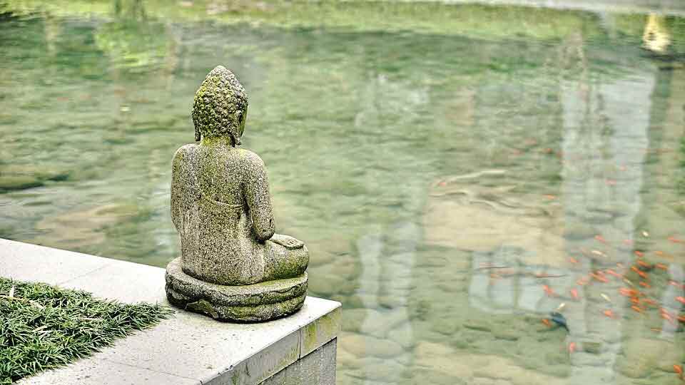 Pema Chödrön was born in New York City.