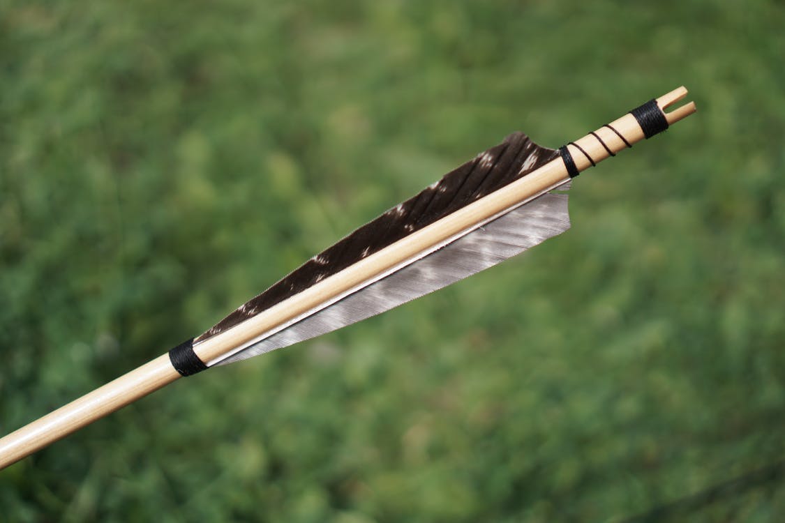 Fred Bear quotes can make anyone enjoy hunting.