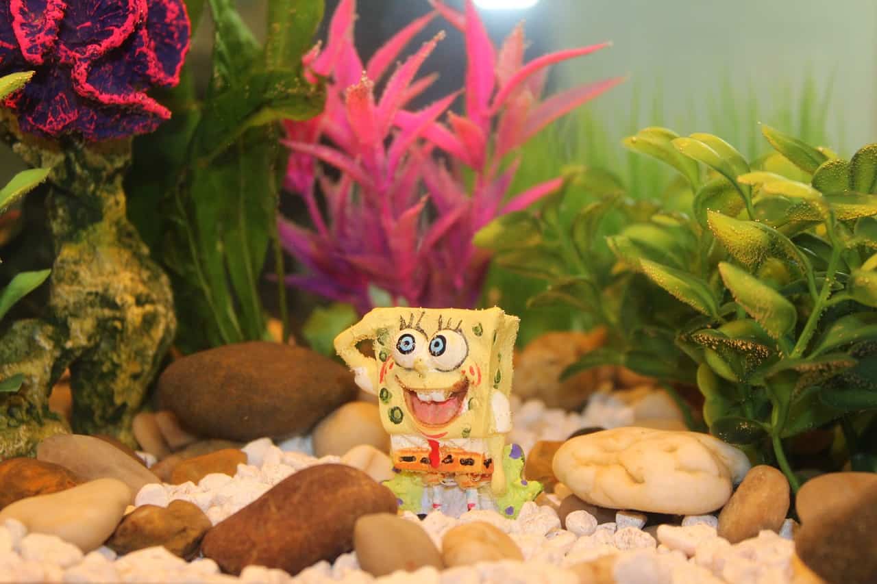 SpongeBob is a show that has fans worldwide and is found relatable by people across the globe.