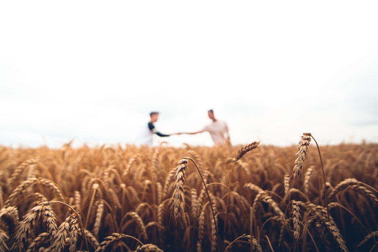 The seeds you sow today. You shall reap its harvest inevitably.