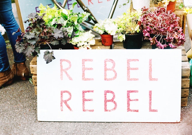 The true nature of the rebel is that they never follow how the world works.