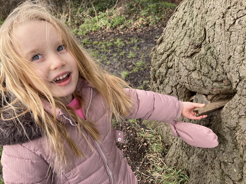 A mature oak tree provides plenty of scope for fantasy.